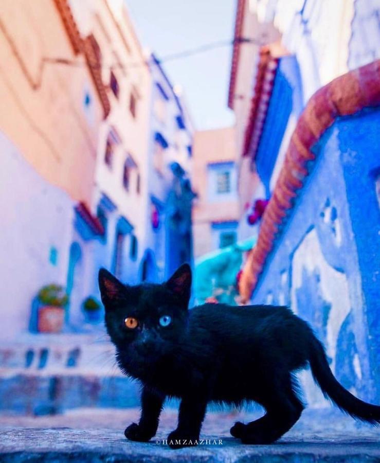 Mesk elil Hotell Chefchaouen Eksteriør bilde